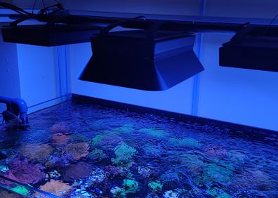Ecotech Radion XR15/30 Magnetic Shade