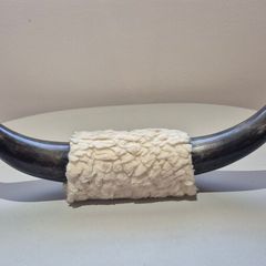 Polished Mounted Bull Steer Horns Rustic Western Decor