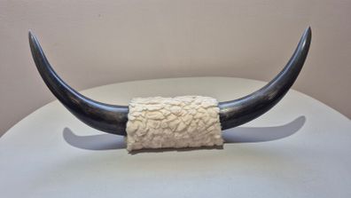 Polished Mounted Bull Steer Horns Rustic Western Decor
