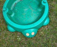 Turtle Sandbox