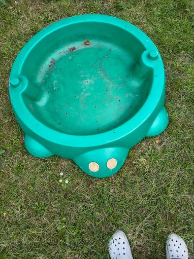 Turtle Sandbox