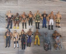 Wwe Basic Figures 14e