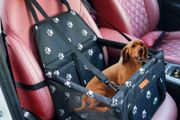Waterproof Pet Dog Car Seat Booster Carrier with Seat Belt Harness and Headrest Strap for Puppy Cat MULTIPLE COLOURS AVAILABLE (FREE POSTAGE)