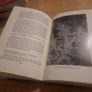Garden Foliage For Flower Arrangement (Hardcover) Image 5