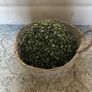 Hanging basket with topiary Image 2