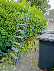 Twin step ladders for sale