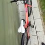 Ignite 24" Bicycle Image 2