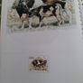 Vintage An Post stamp diary 1995 Image 3