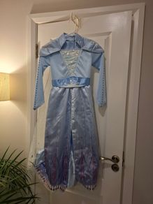 Halloween frozen costume