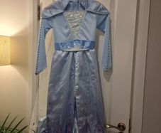 Halloween frozen costume
