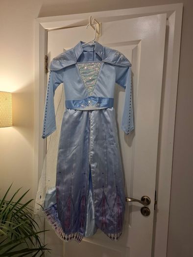 Halloween frozen costume