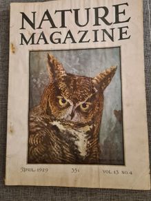Rare Vintage.  1929. April Edition.  Volume 13 No4 Magazine.