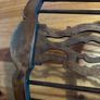Georgian yoke-back Windsor armchair Image 8