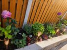 Landscaping services Image 3
