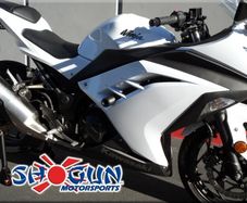 kawasaki ninja 300 frame slider