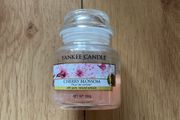 Yankee Candle