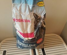 cat litter