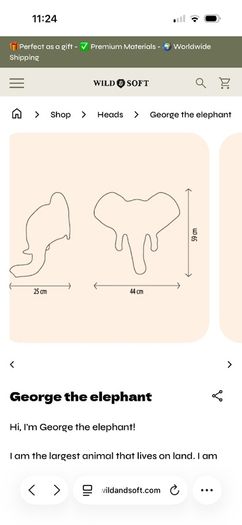 Animal themed bedroom accessories