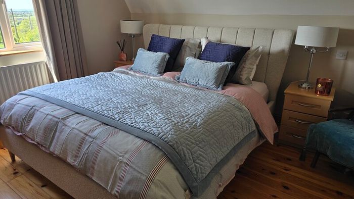 Paul Costelloe cushions and throw