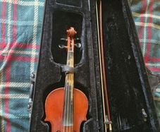violin