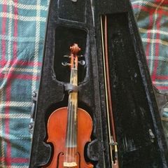 violin