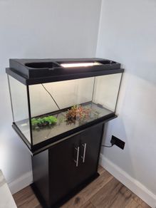 Fish Tank and cabinet
