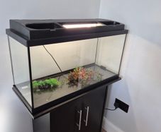 Fish Tank and cabinet