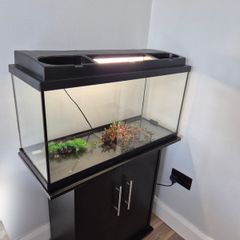 Fish Tank and cabinet