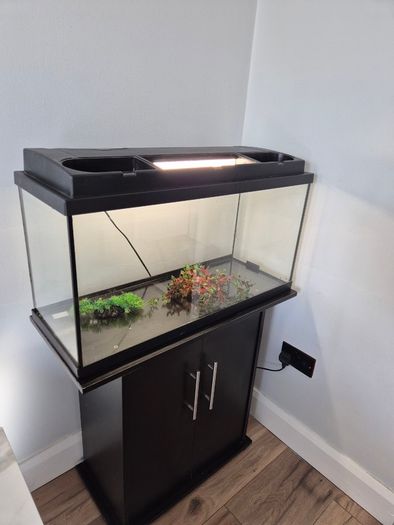 Fish Tank and cabinet