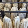 Stunning Silk Interlined Curtains 116" wide x 92" drop Image 10