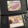 Nintendo DS Image 5