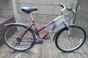 Ladies mountain bike. Cycling perfectly