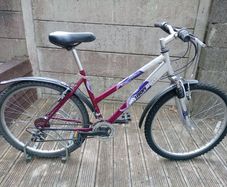 Ladies mountain bike. Cycling perfectly