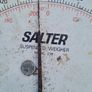 Salter Scales Image 2