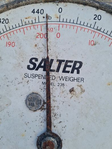 Salter Scales