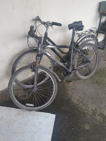 Bikes