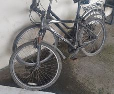 Bikes