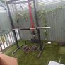 Complete Home Gym Setup Image 4