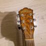 Washburn Acoustic guitar with Hiscox hardcase Image 2