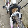 Apollo jewel kids bike Image 6
