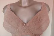 Brand New The Lingerie C&amp;A beige lace padded underwired bra size UK38/40 cup F EU85/90 F Postage included