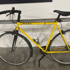 Bicycle Road Single Speed Ultralight Sona