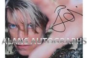 David Bowie Autograph