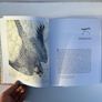 As kingfishers catch fire - book about birds Image 3