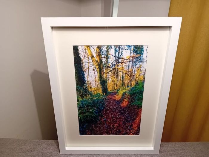 Glenbower Woods
