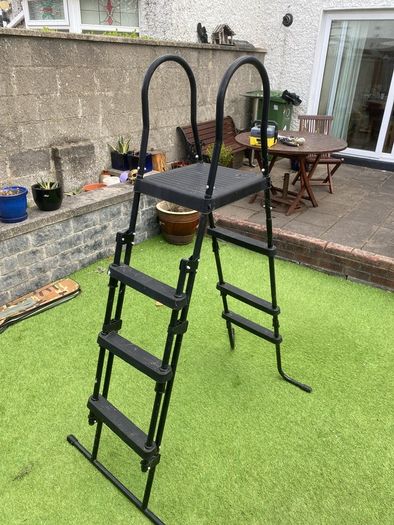 Pool ladder