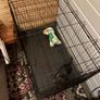 large dog crate Image 2