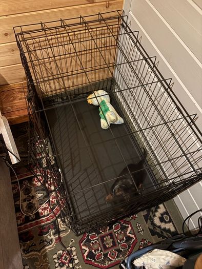 large dog crate
