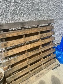 Free Pallet