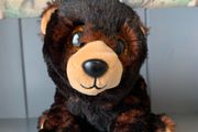TY Beanie Bear Kodi